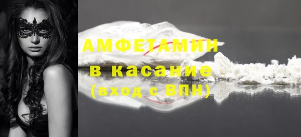 крисы Няндома