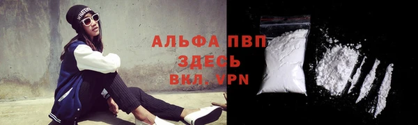 крисы Няндома