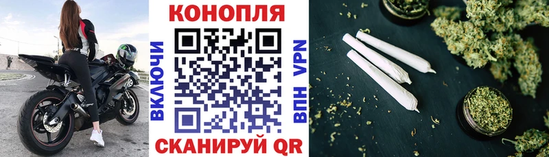 Каннабис план  Купить закладки  Альметьевск 